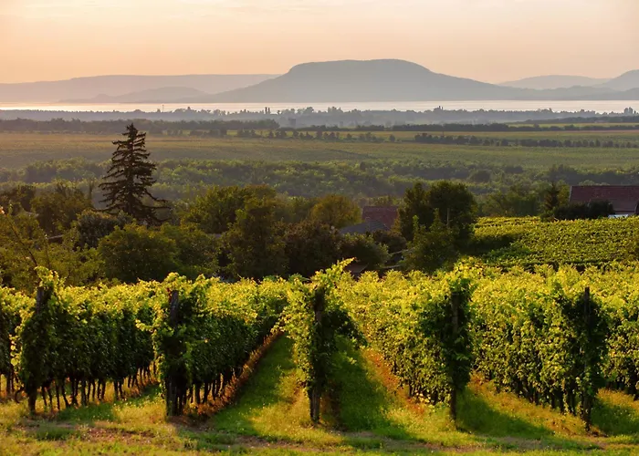 Dom wakacyjny In 43401